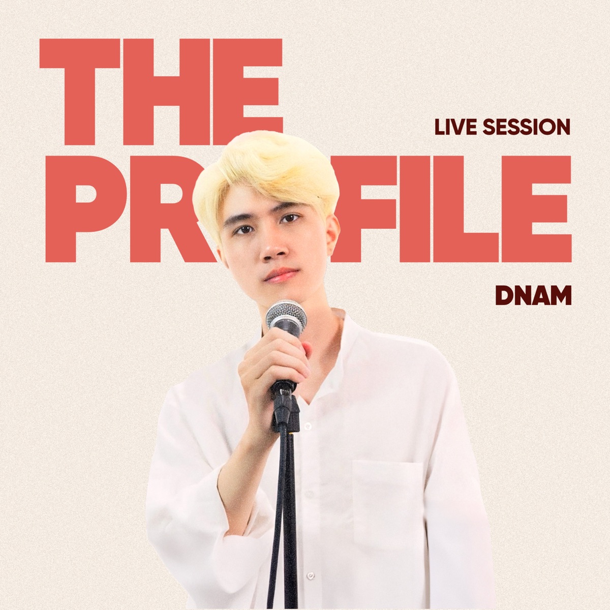 dNam (The PROfile Live Session) - Single by dNam & The PROfile album cover