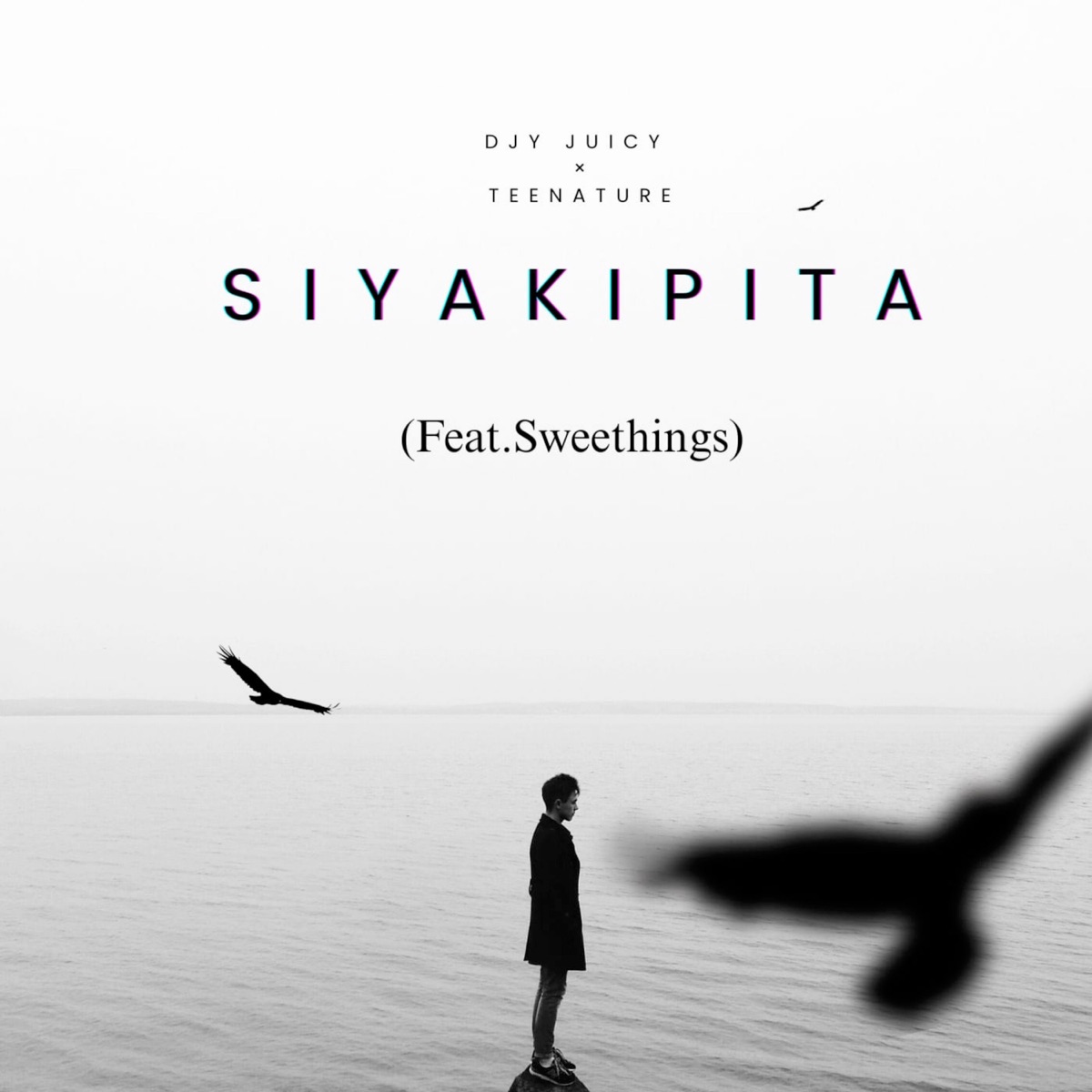 Siyakipita (feat. Sweethings) - Single by Djy Juicy & TeeNature album cover