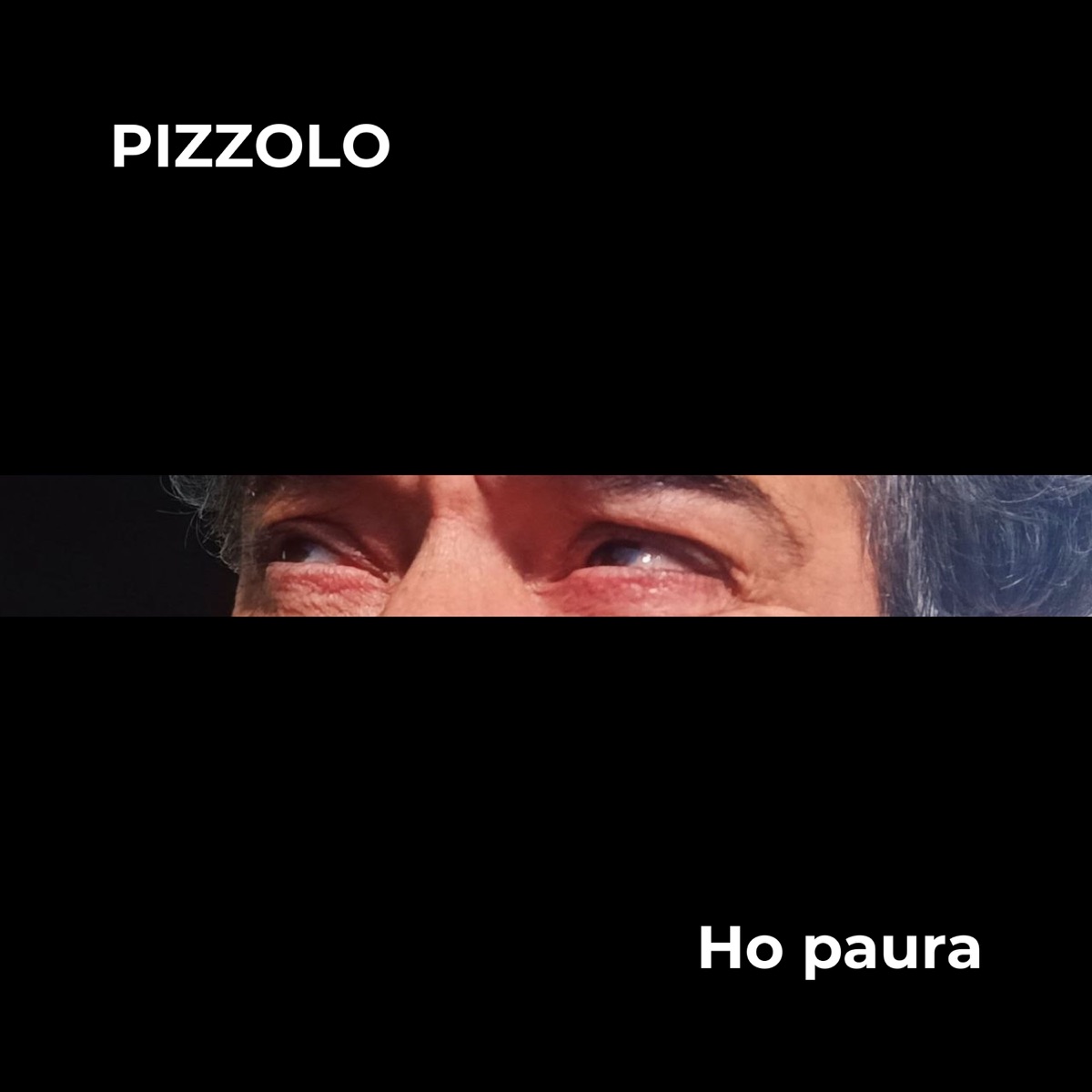 Ho paura - Single by Pizzolo album cover