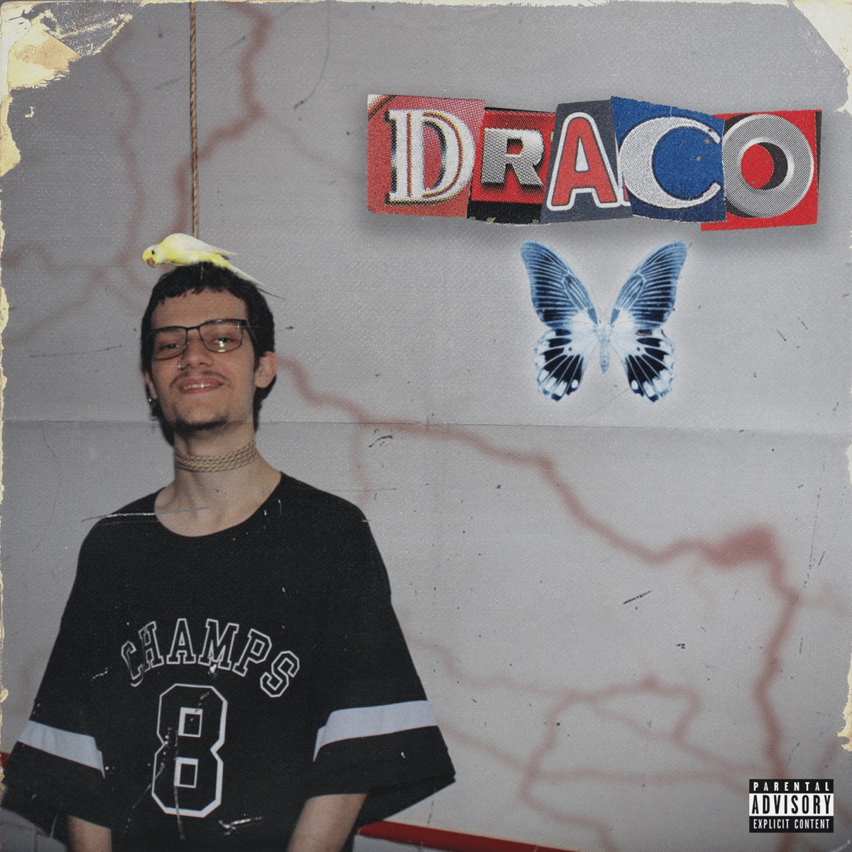 DRACO by PEDRABOY$ album cover