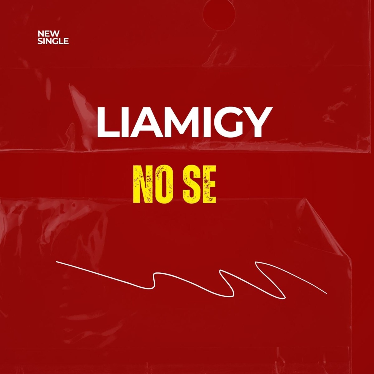No Se - Single by Liamigy & Humaga Produce album cover