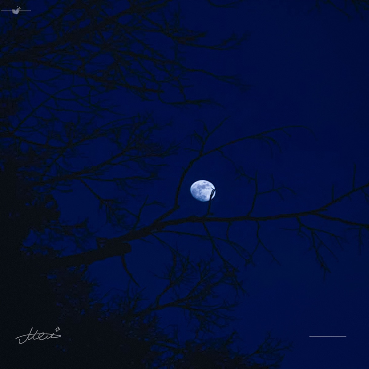Square Nightfall - Single by Melskoy album cover