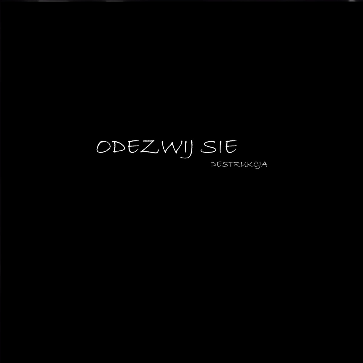 DESTRUKCJA (feat. PolskieFajki) - Single by Hini album cover