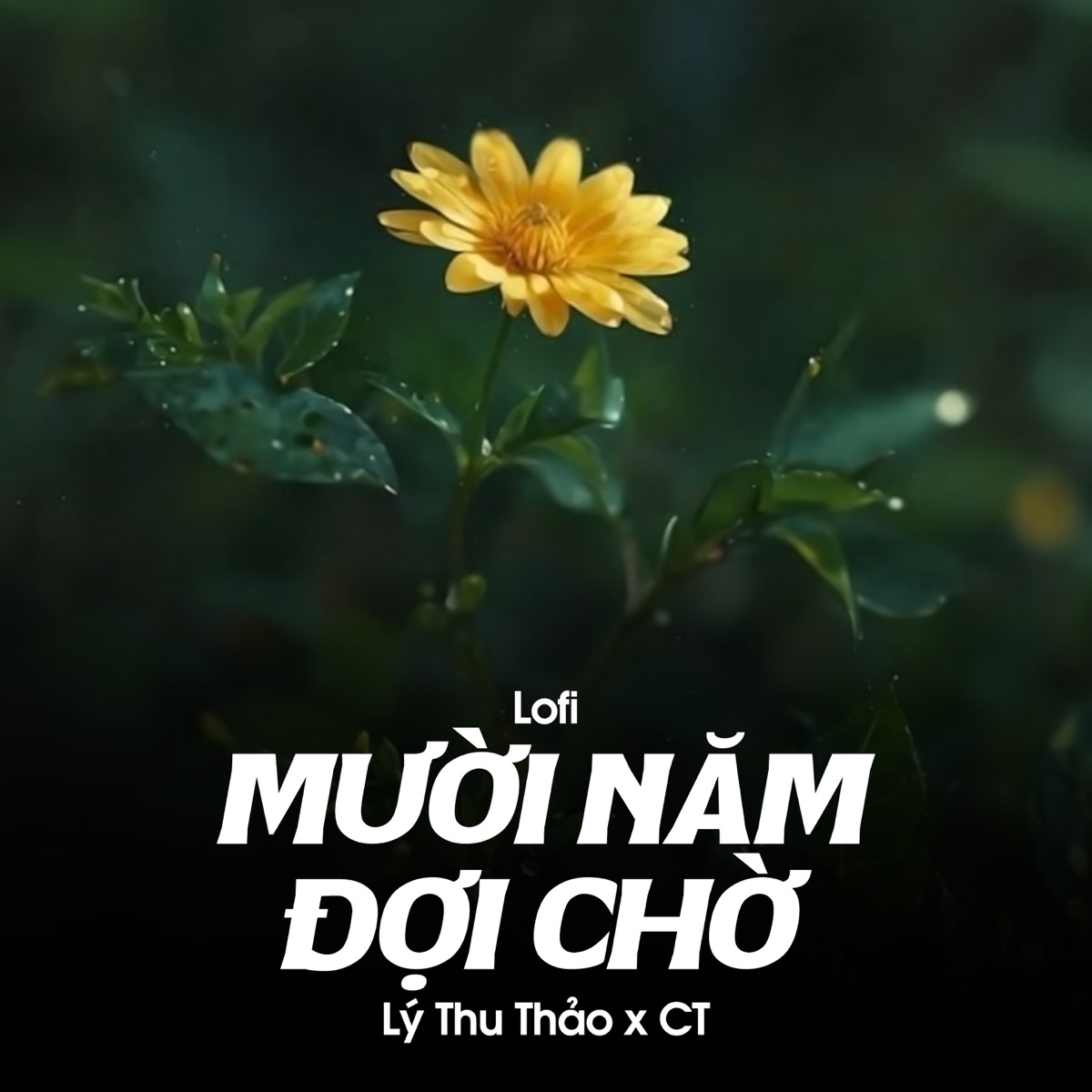 Mười Năm Đợi Chờ (Lofi) - Single by Lý Thu Thảo & CT album cover