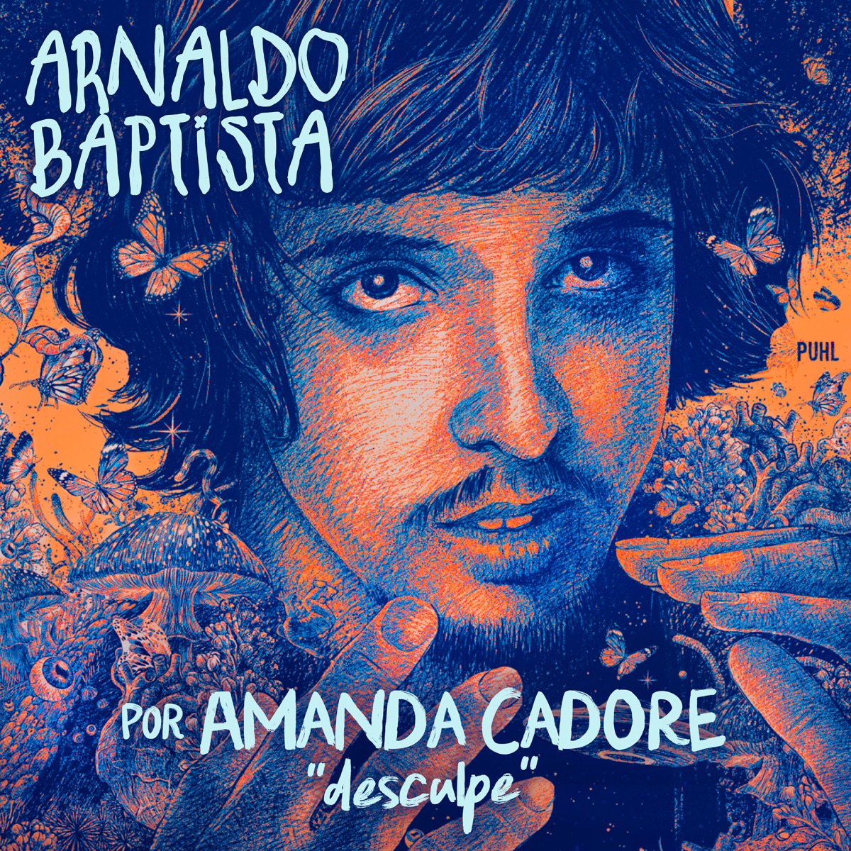 Desculpe - Single by Arnaldo Baptista & Amanda Cadore album cover