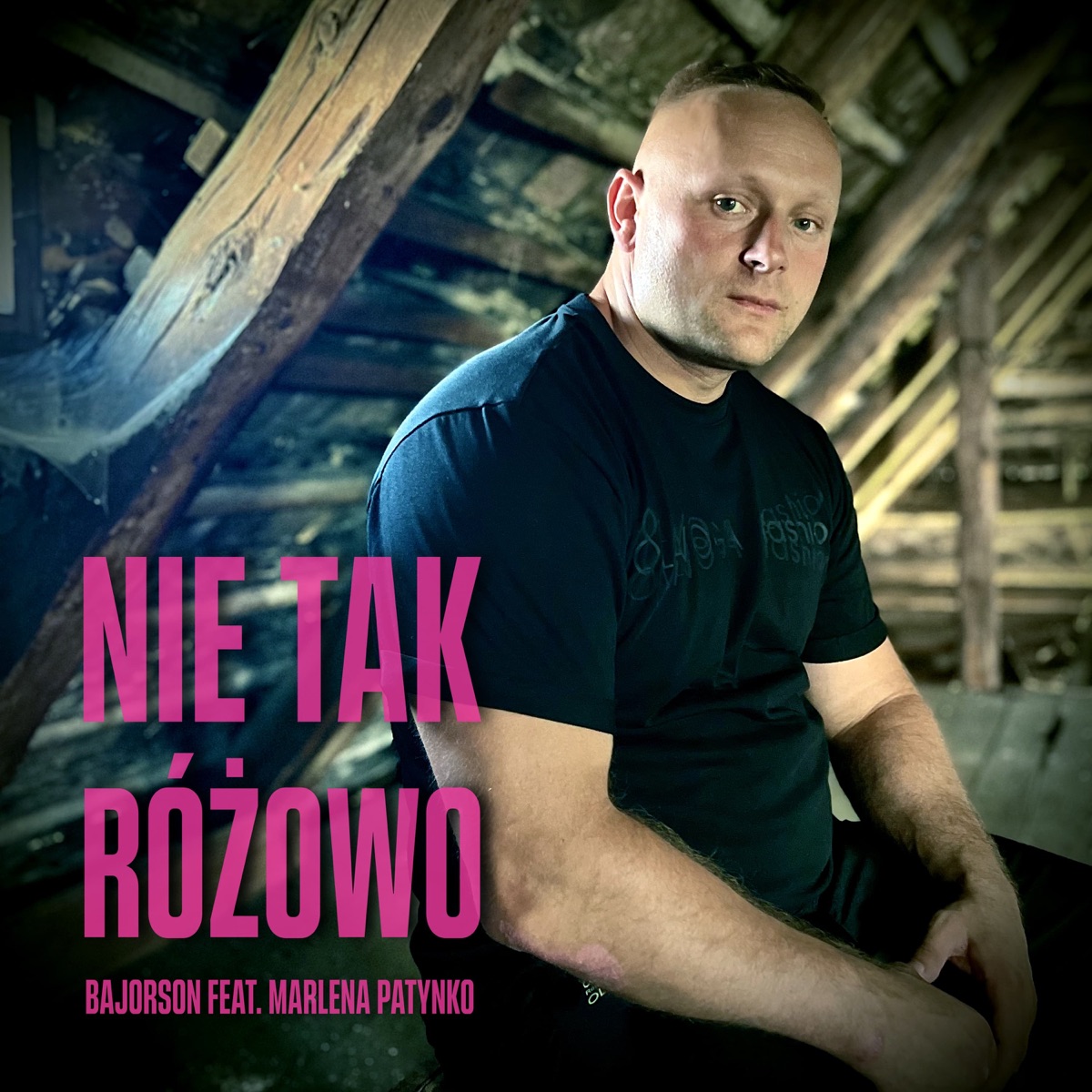 Nie tak różowo - Single by Bajorson & Marlena Patynko album cover