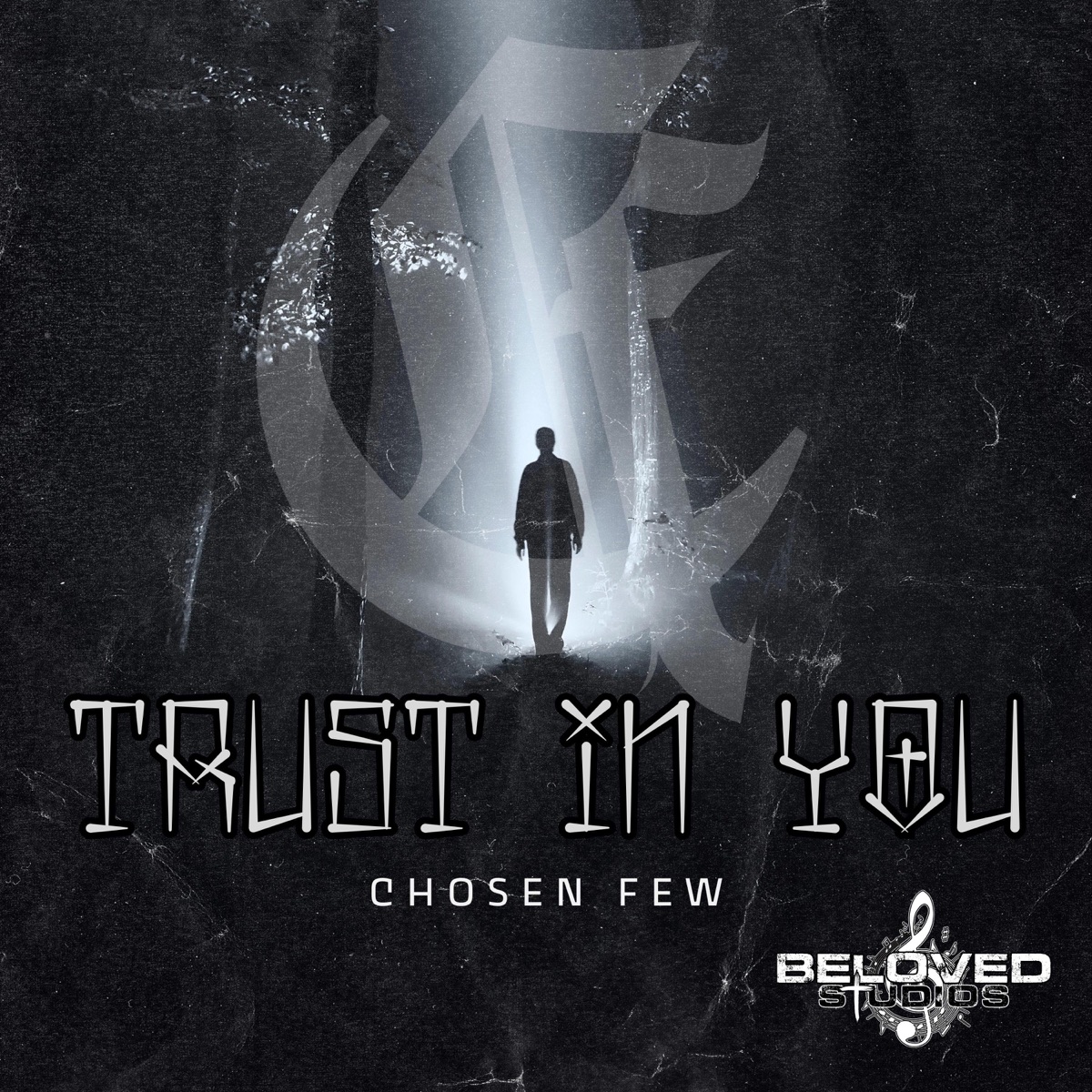 Trust In You - Single by Chosen Few album cover