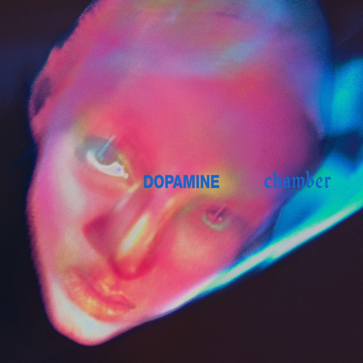 Dopamine Chamber by Fontaines D.C. album cover artwork