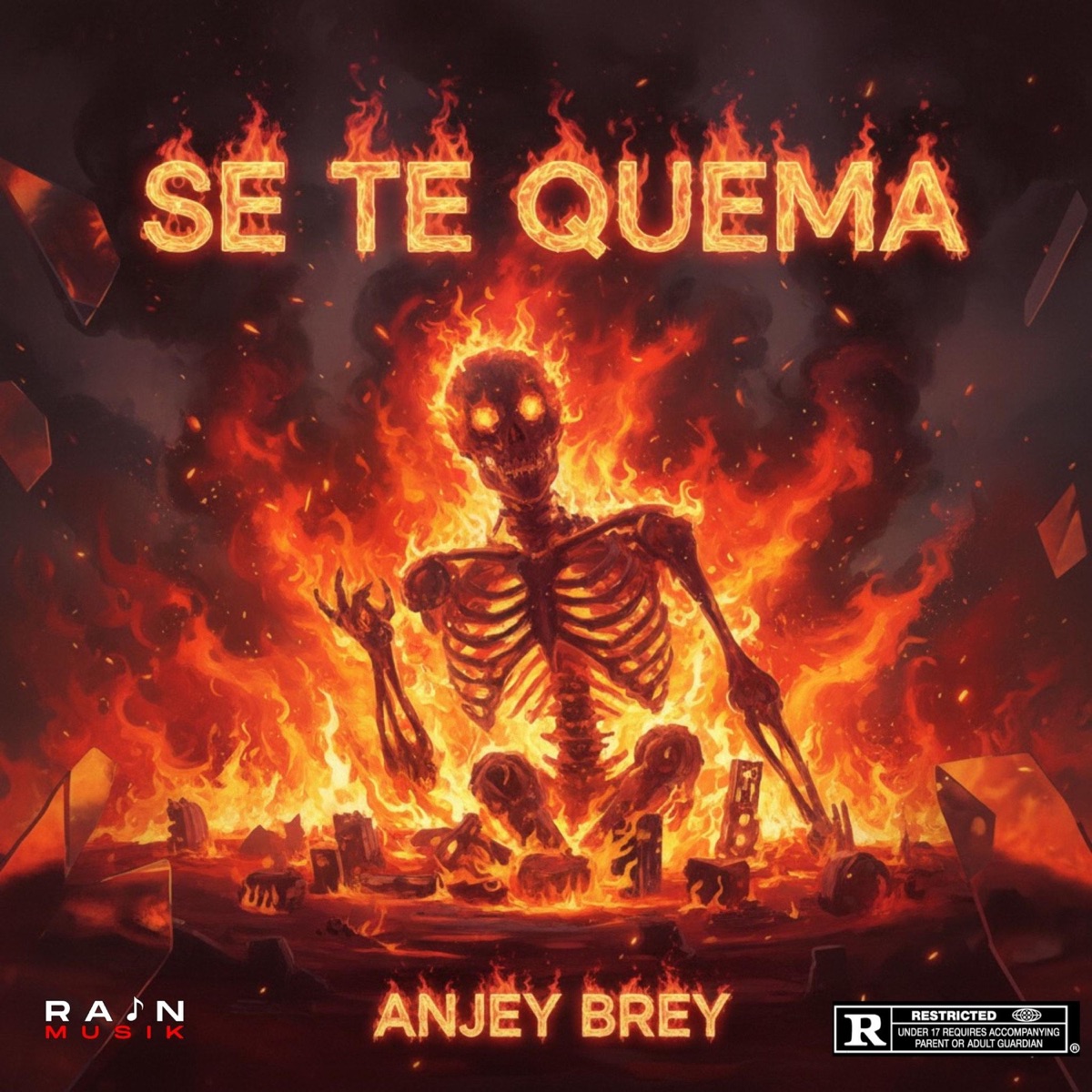 Se Te Quema (feat. Anjey Brey) - Single by Rain Musik album cover