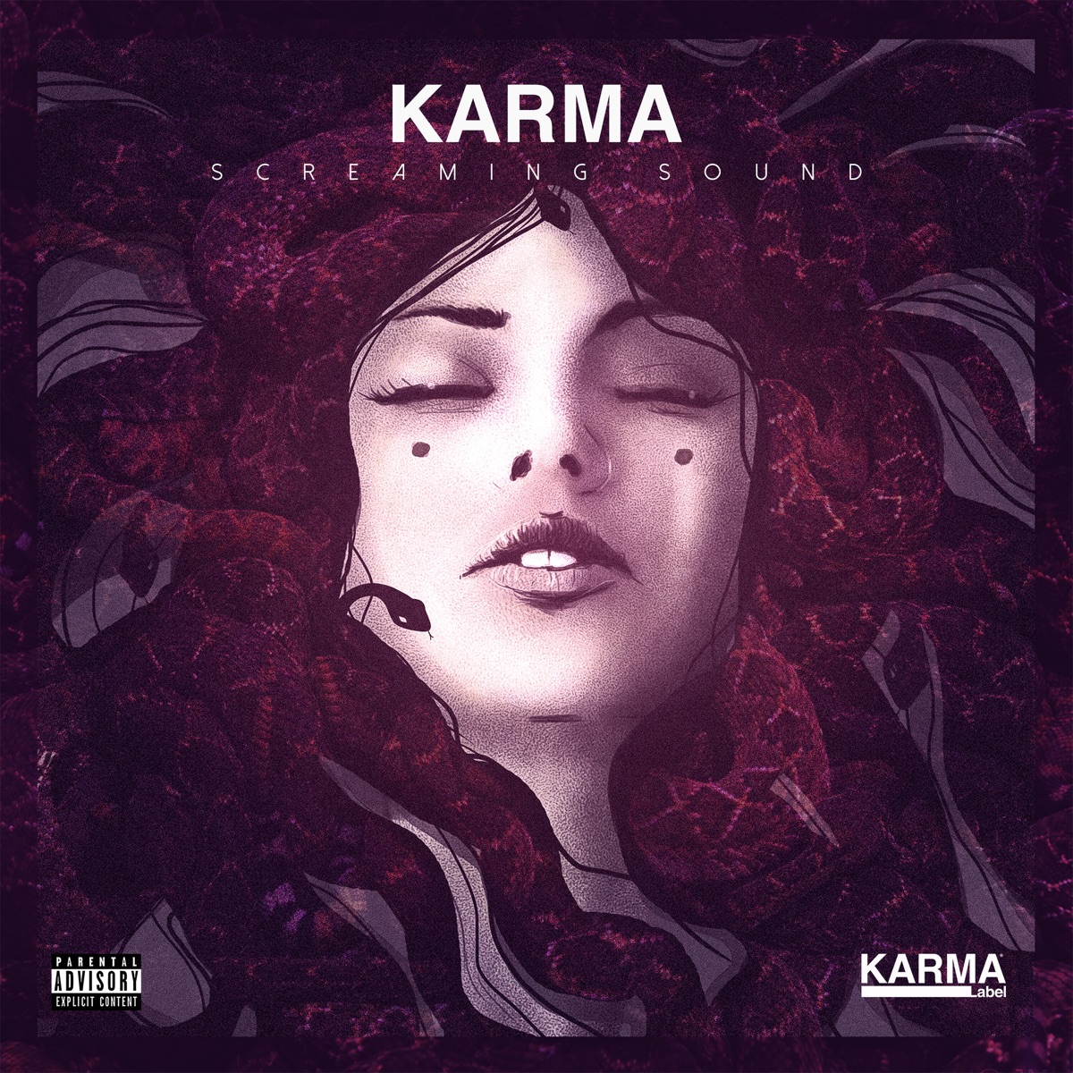 Screaming Sound by Karma album cover