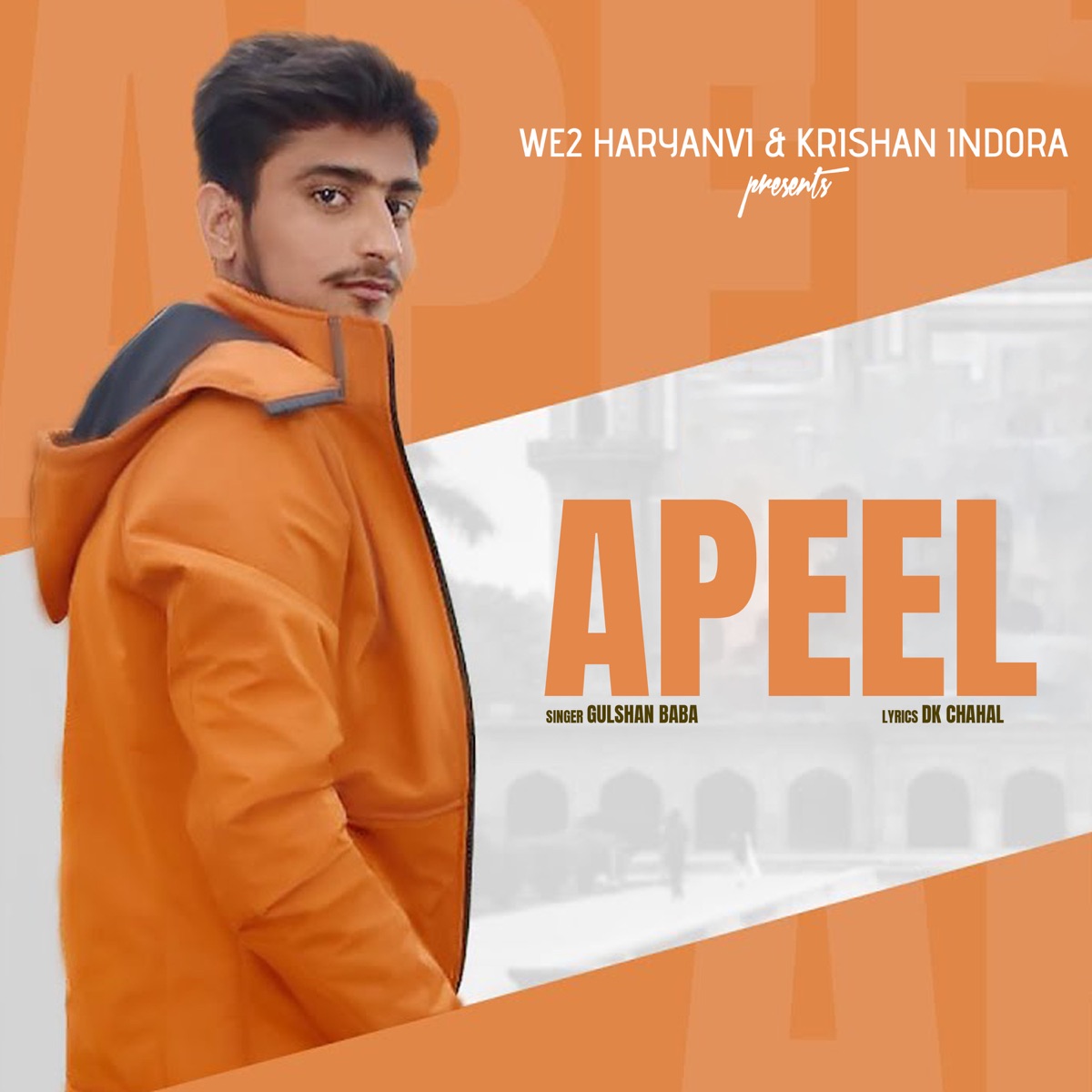 Apeel - Single by Gulshan Baba album cover