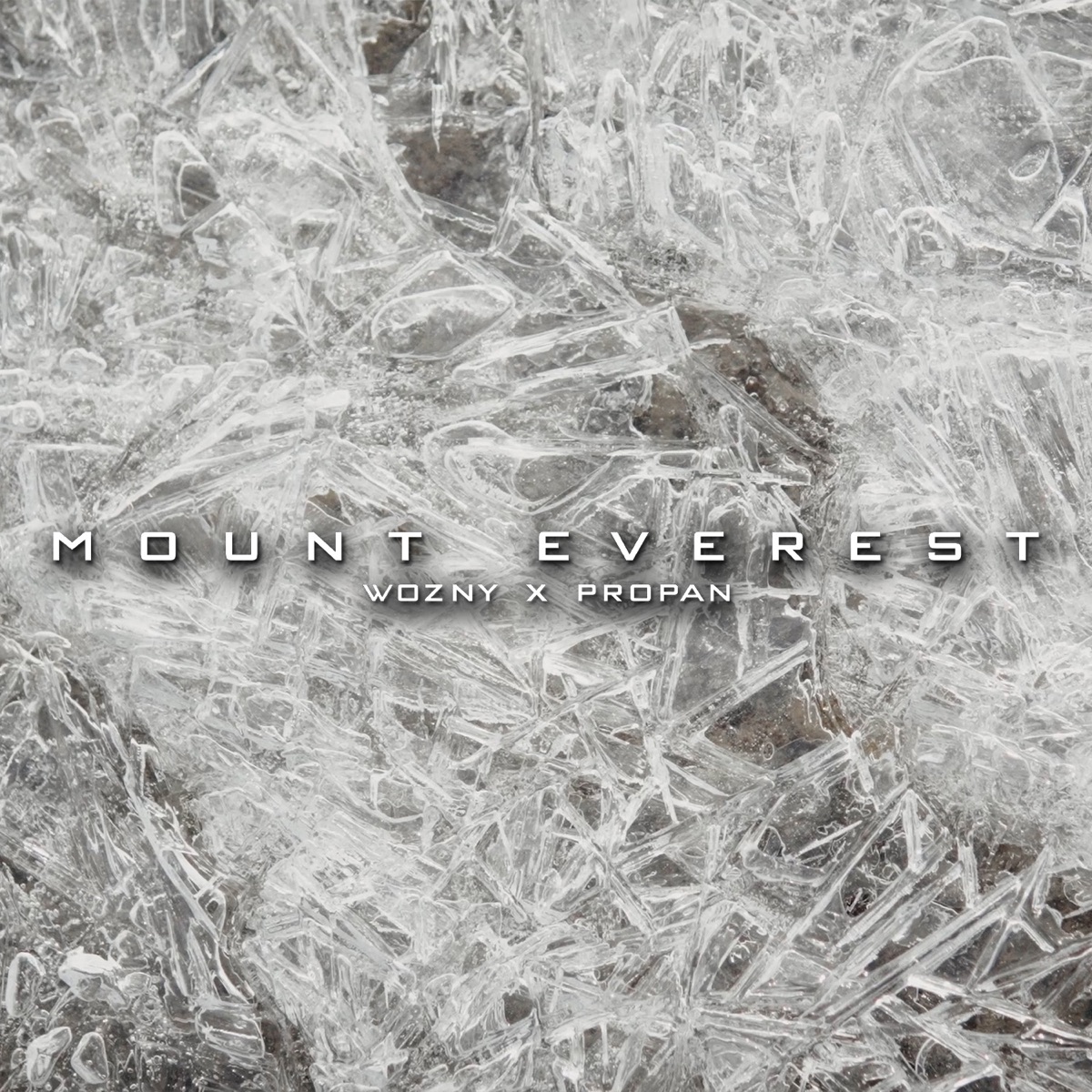 Mount Everest - Single by Woźny & Propan album cover
