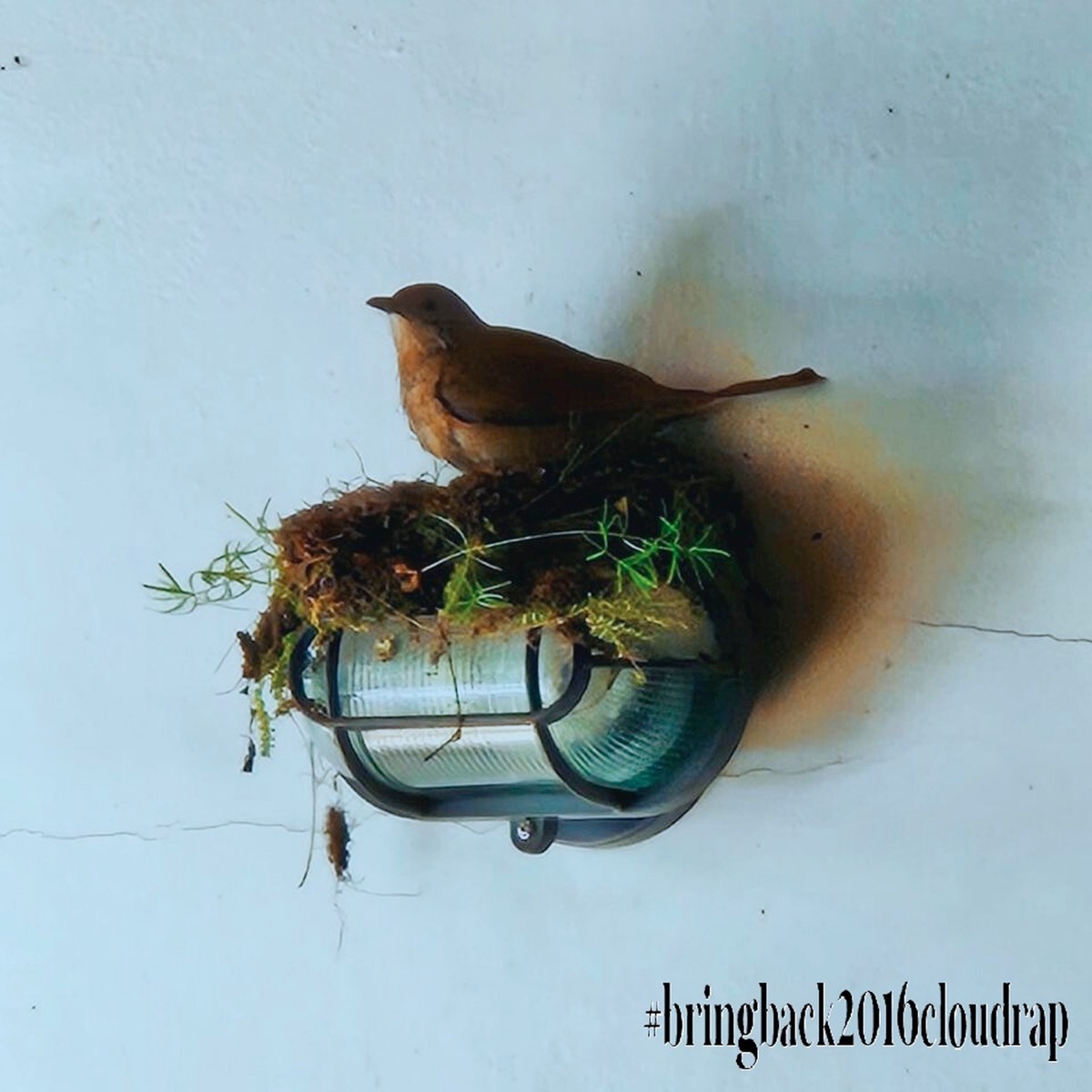 bolando outros (planos) - Single by bogopogo album cover
