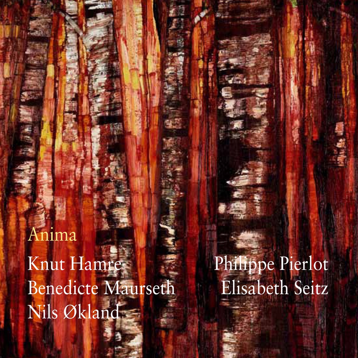 Anima (feat. Nils Økland, Elisabeth Seitz & Philippe Pierlot) by Benedicte Maurseth & Knut Hamre album cover