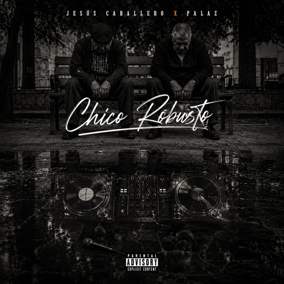 Chico Robusto - Single by Jesus Caballero & Palaz album cover