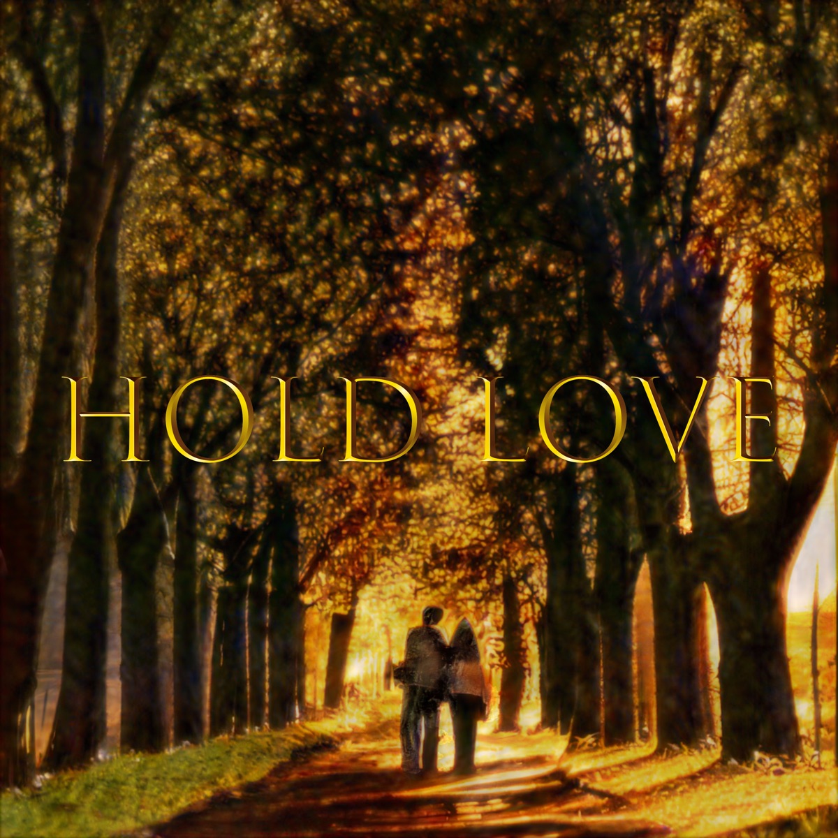 Hold Love - Single by mai, Ryo & Jelly Hyodo album cover