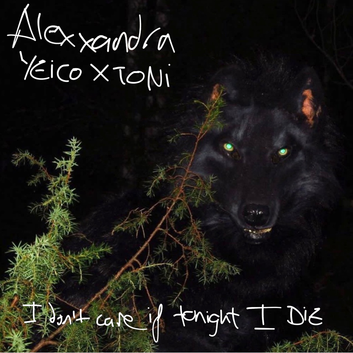 I don’t care if tonight I die - Single by Alexxandra & Yeico X Toni album cover