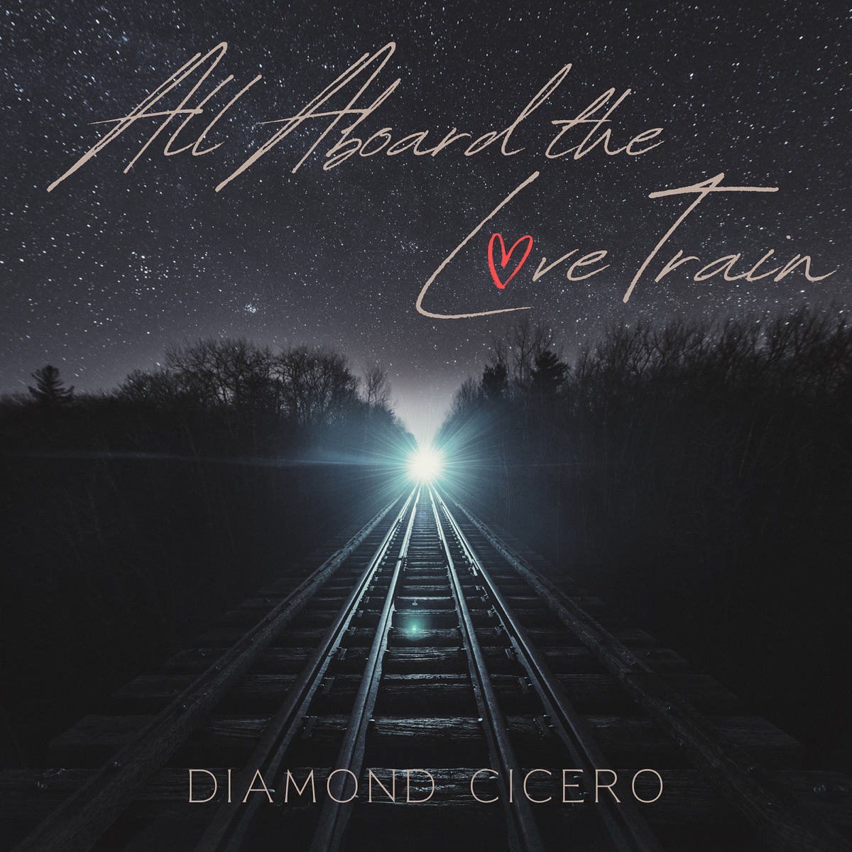 All Aboard the Love Train by Diamond Cicero album cover