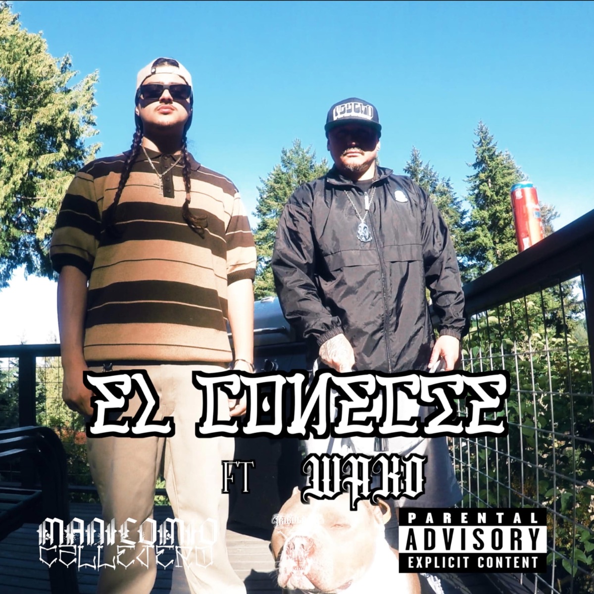 EL CONECTE (feat. Wako Nazca Guerrilla Callejera) - Single by EL D.M album cover