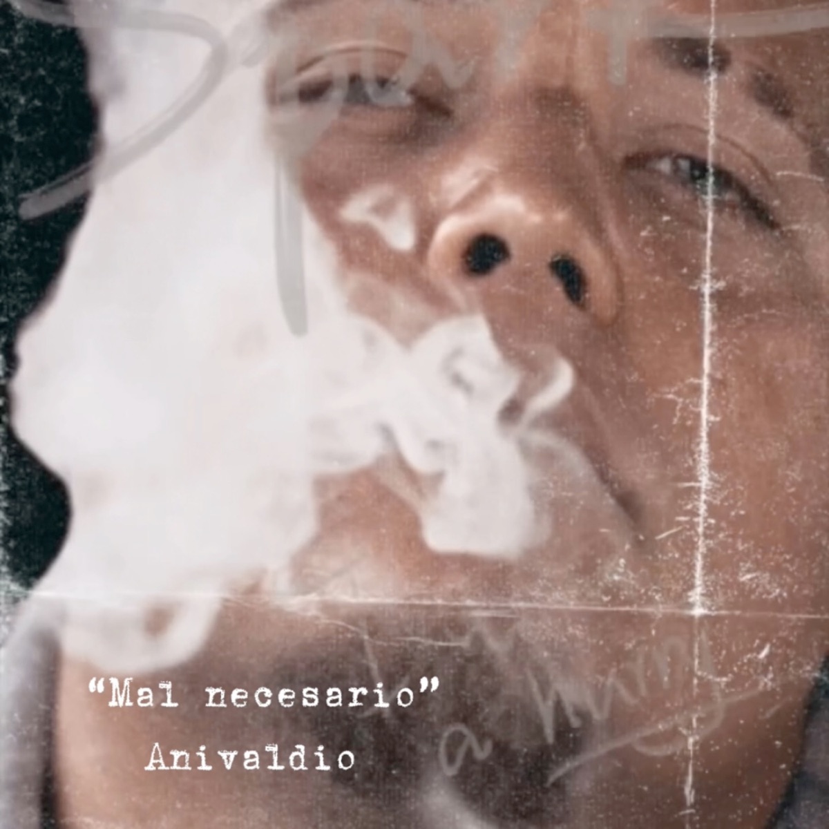 Mal Necesario - Single by Anivaldio album cover