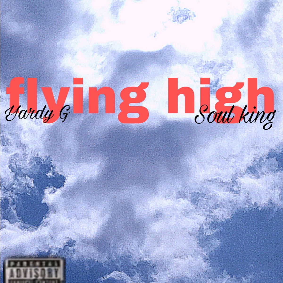 Flying High (feat. Soulking) - Single by Yardy G album cover