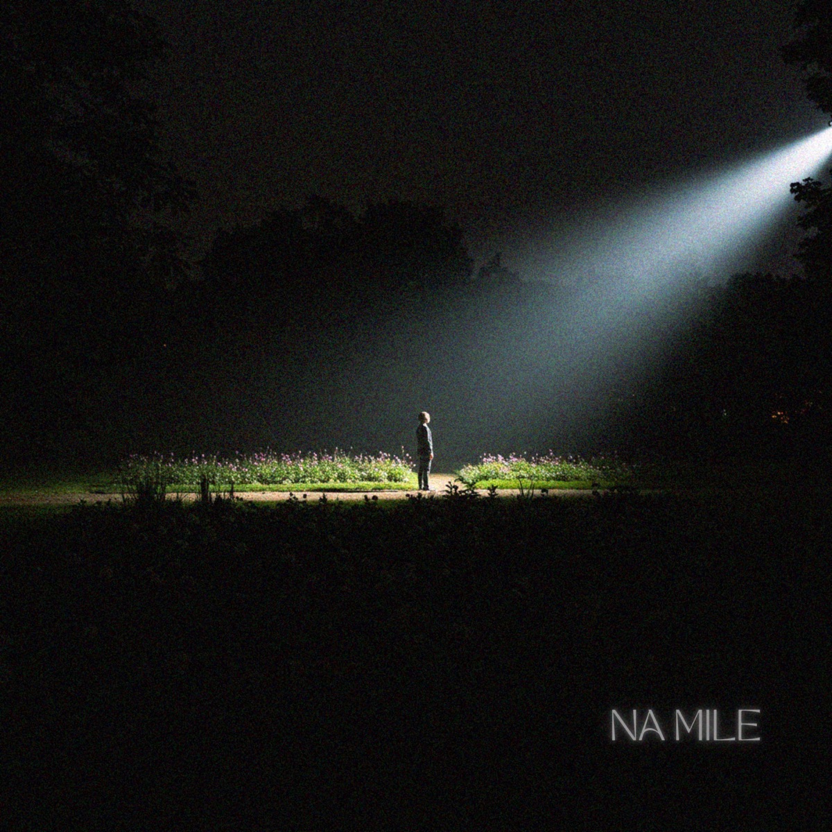 Na Miley - Single by Muzammil ahmed album cover