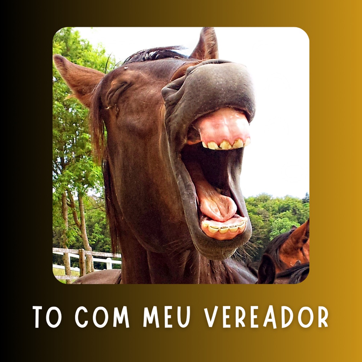 To Com Meu Vereador - Single by NORTE FLOW album cover