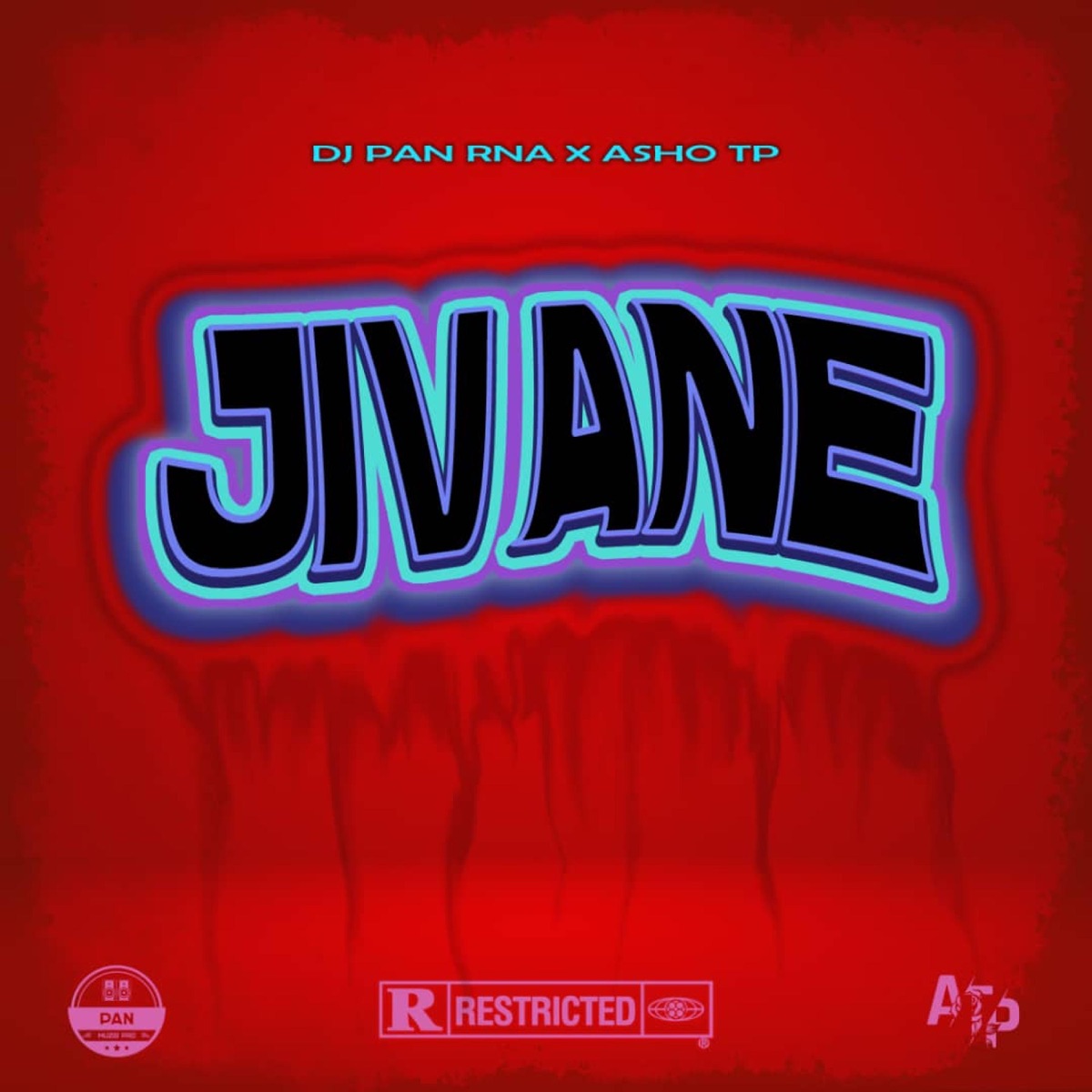 JIVANE - EP by DJ PAN RNA & Asho TP album cover