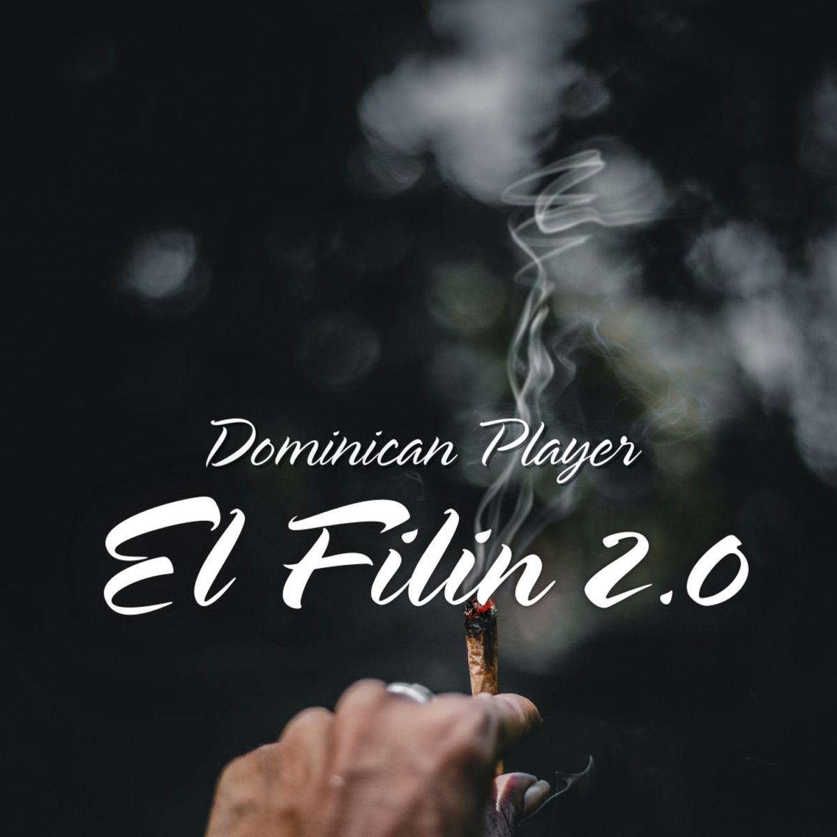 DOMINICAN PLAYER EL FILIN 2.0 - Single by BIG42 & La Biblia album cover