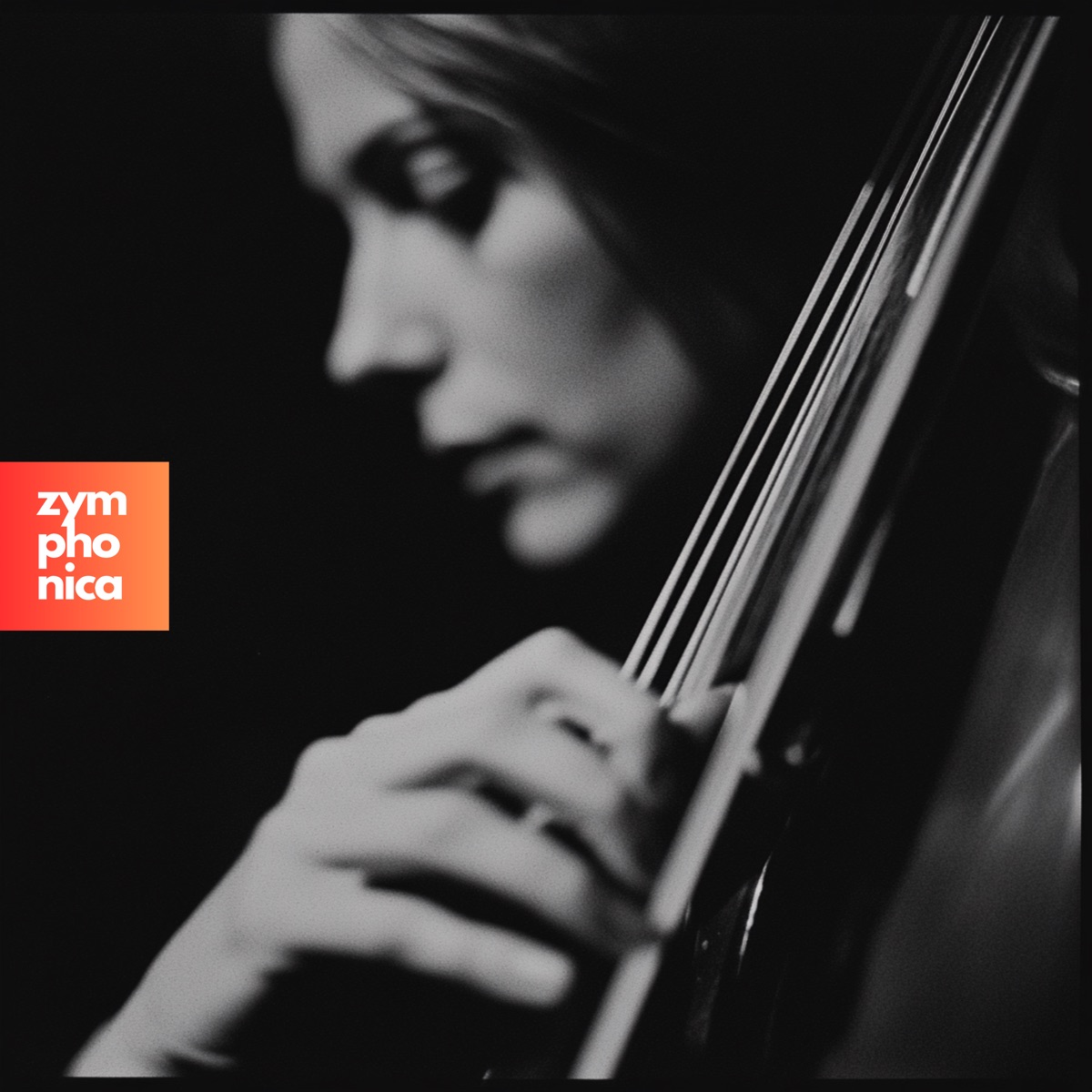 Hits Go Classical, Vol. 2 (Symphony Orchestra Versions) by Zymphonica album cover