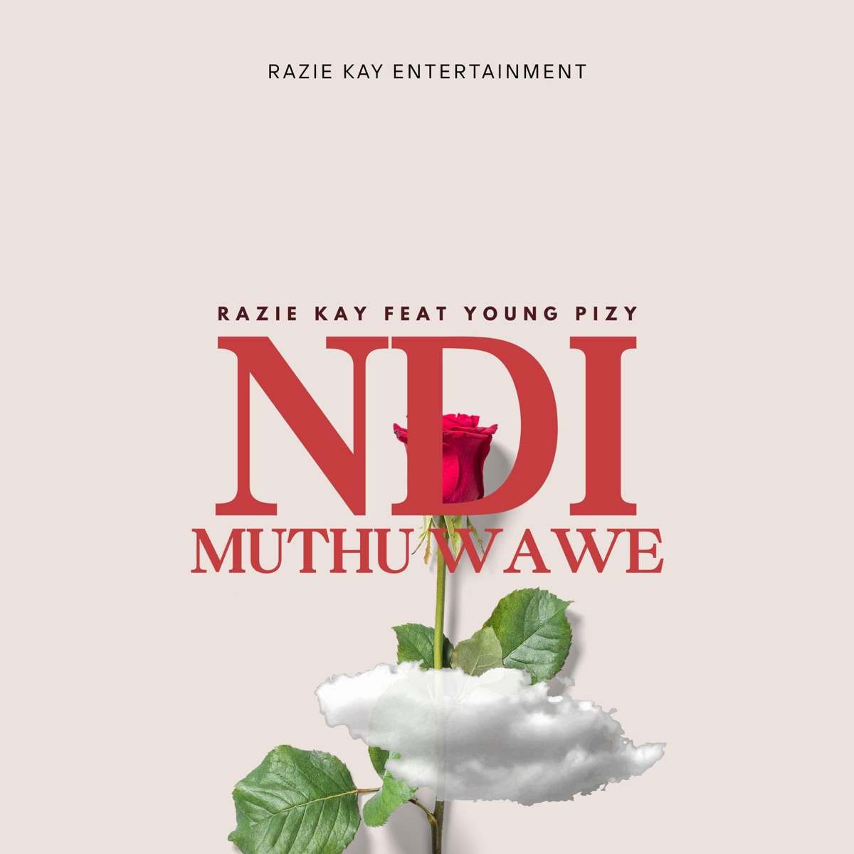 Ndimuthu wawe (feat. Young pizy) - Single by Razie Kay album cover