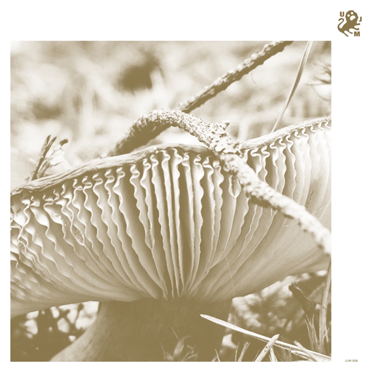 Potrzebuję - Single by Late Night Poems & Eskaubei album cover