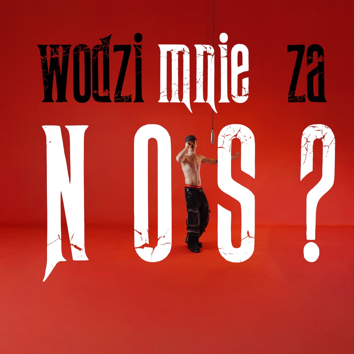 Wodzi mnie za nos? - Single by Feno & Plughub album cover