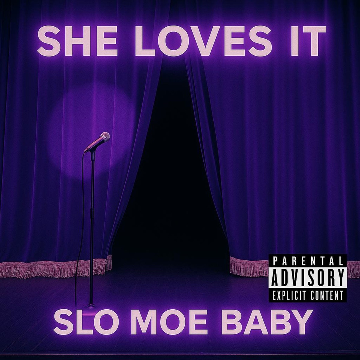She Loves It - Single by Slo Moe Baby album cover
