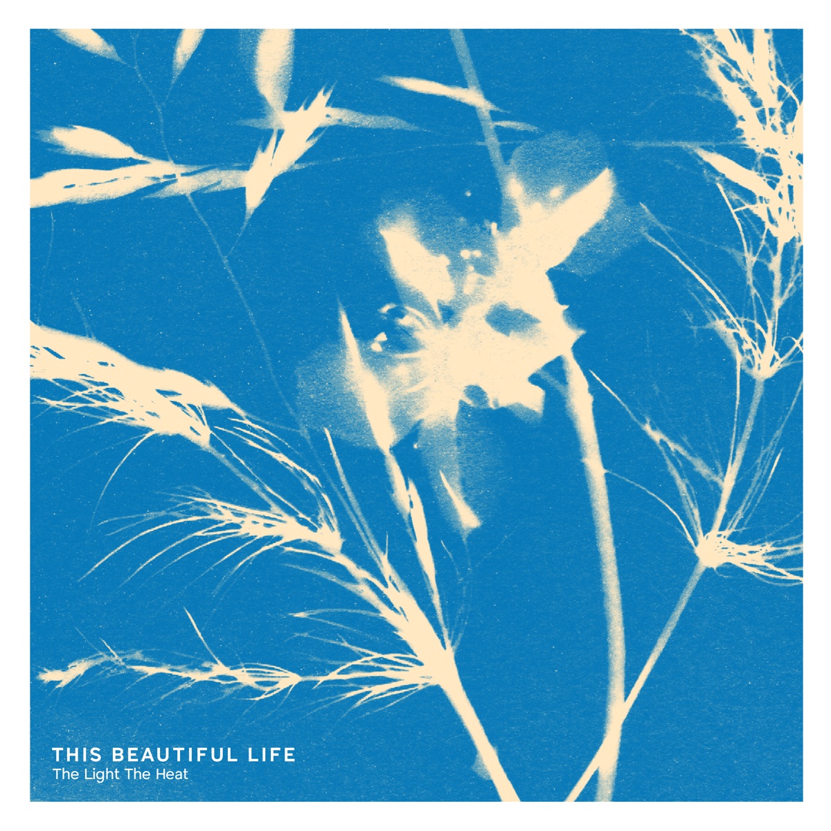 This Beautiful Life - Single by The Light The Heat album cover