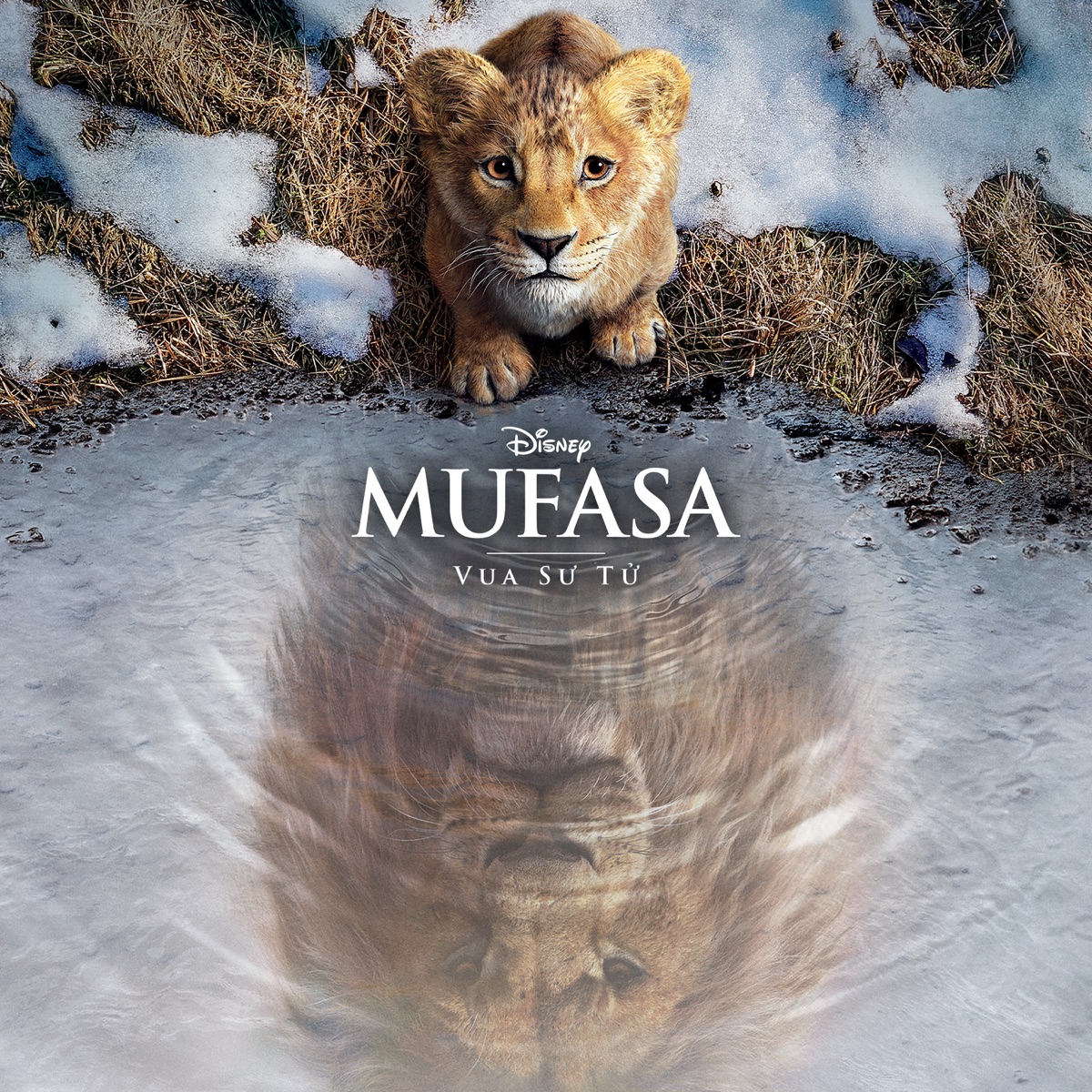 Mufasa: The Lion King (Vietnamese Original Motion Picture Soundtrack) by Lin-Manuel Miranda, Lebo M & Dave Metzger album cover artwork