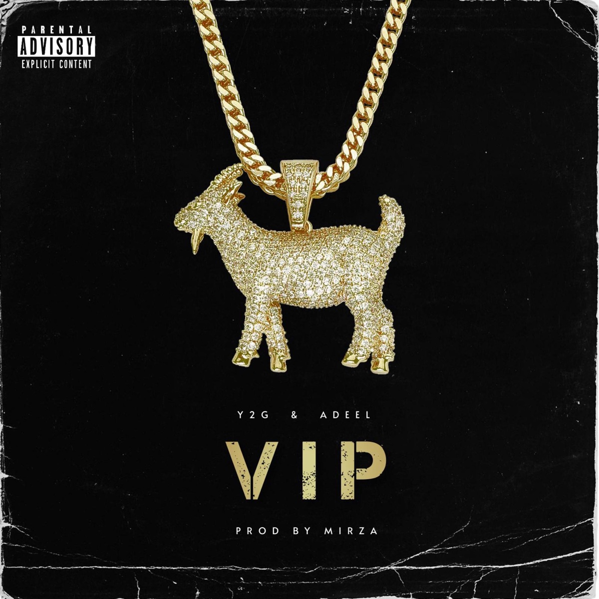 Vip - Single by Y2G, Adeel Meer & M I R Z A album cover