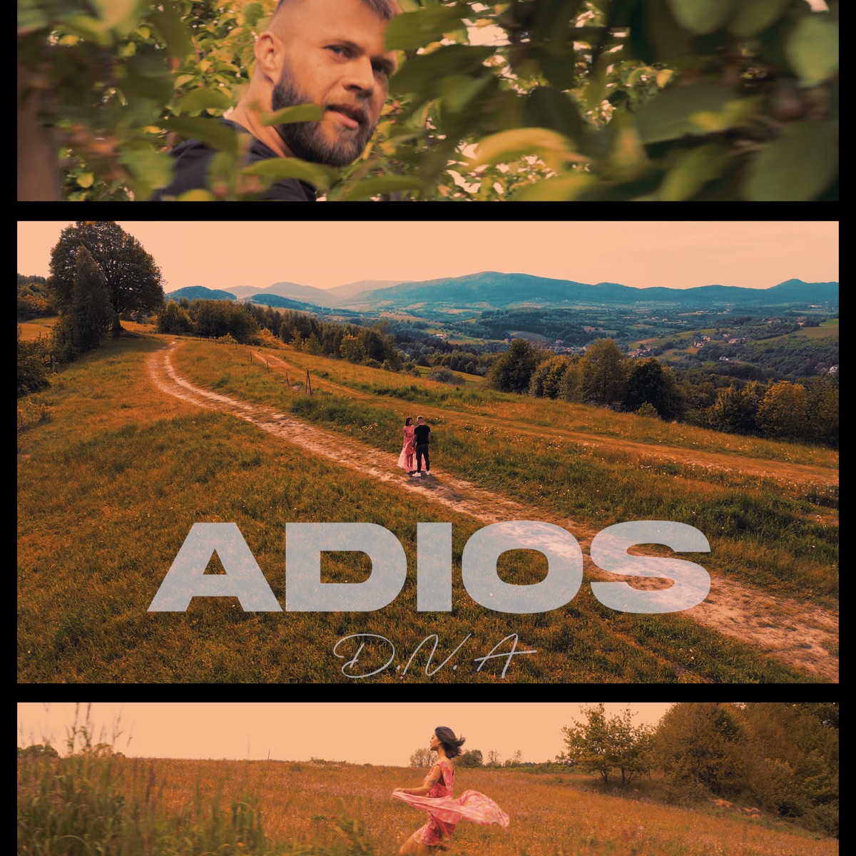 ADIOS - Single by D.N.A, Darya & Nizioł album cover