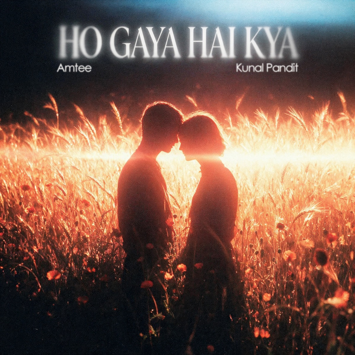 Ho Gaya Hai Kya - Single by Kunal Pandit & Amtee album cover