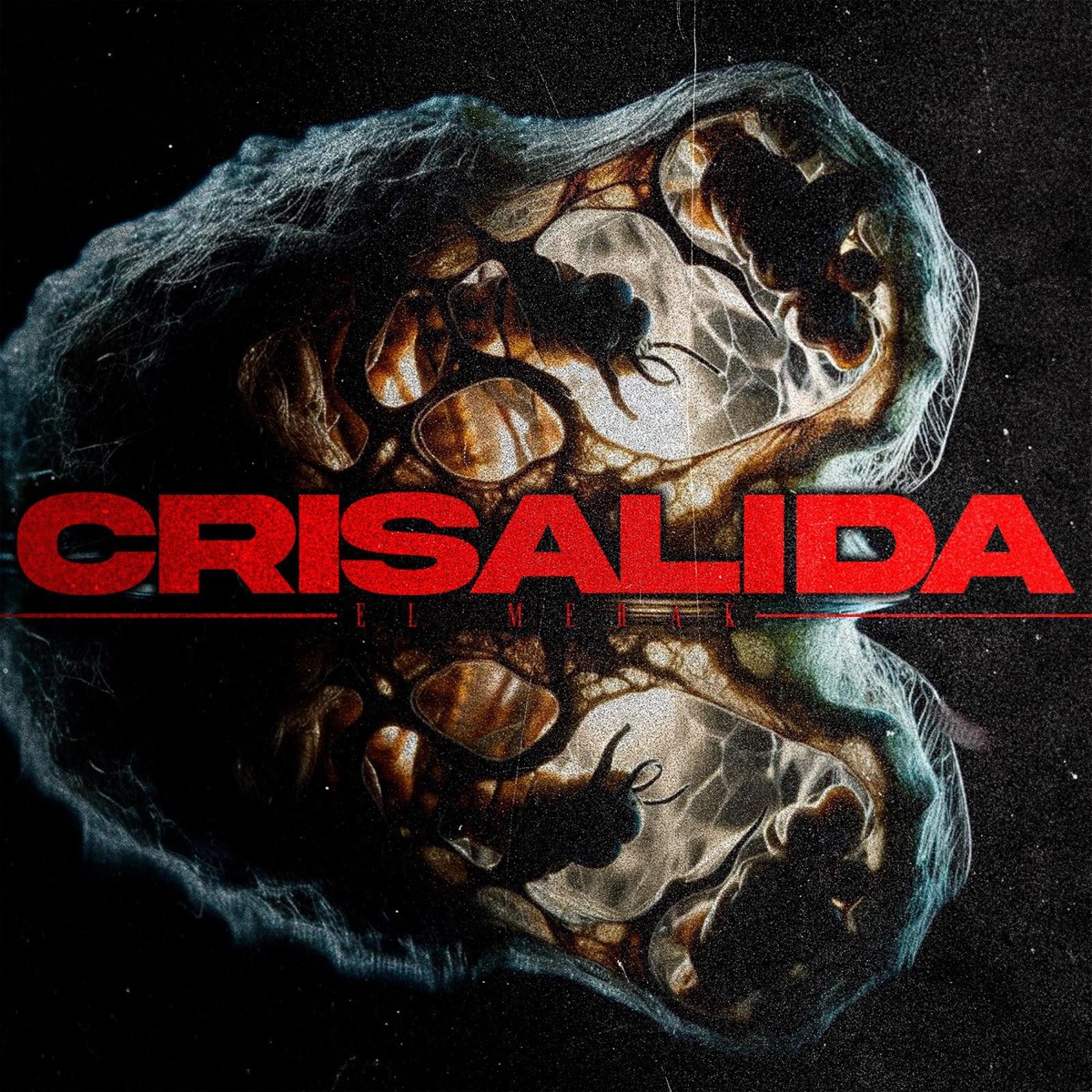 Crisálida by Krypto El Merak album cover