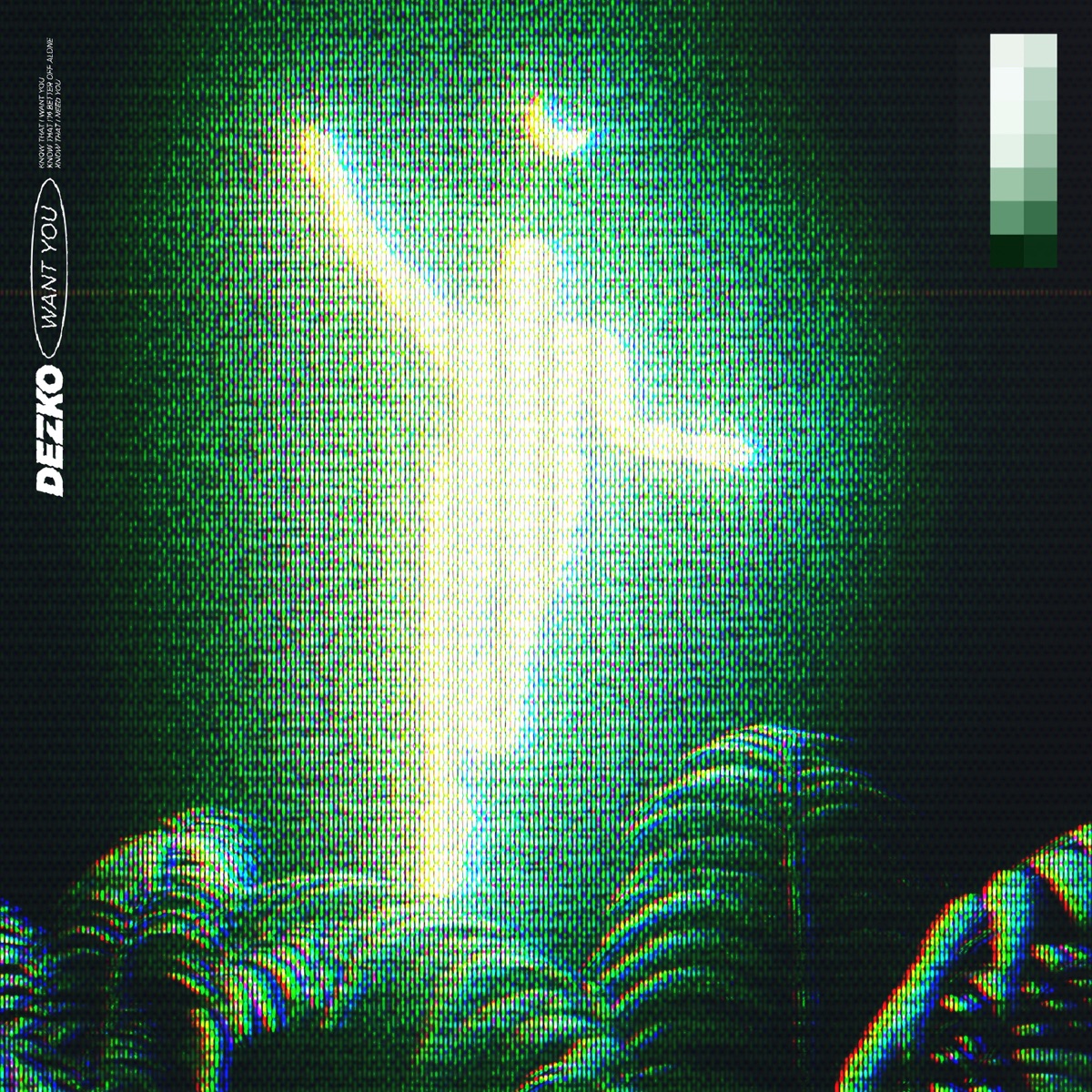 Want You - Single by Dezko album cover