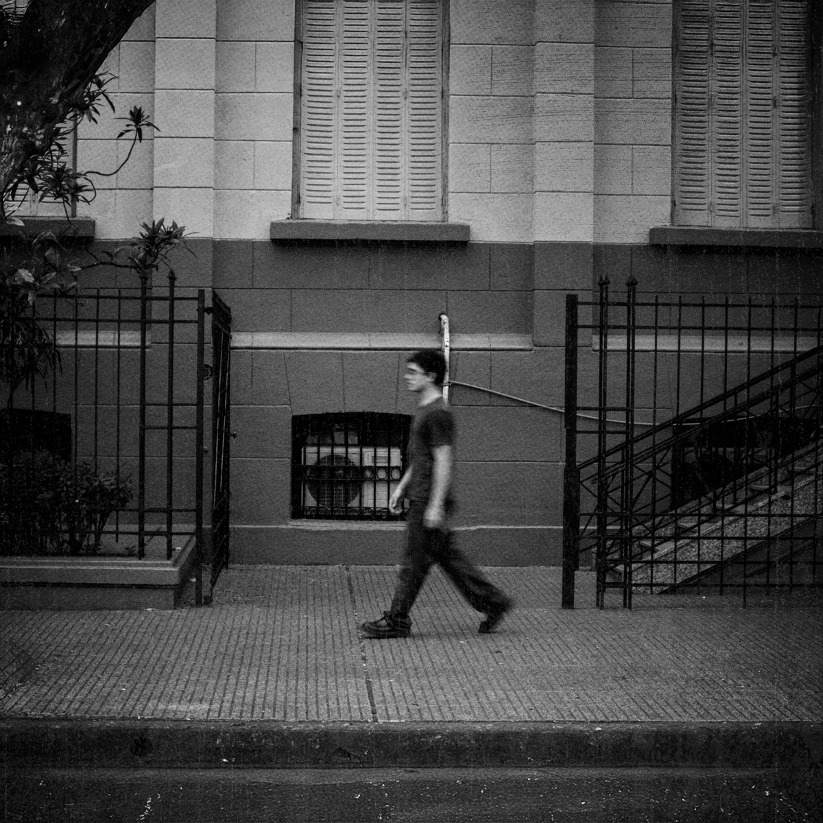 GRISÁCEO by CIFRA album cover