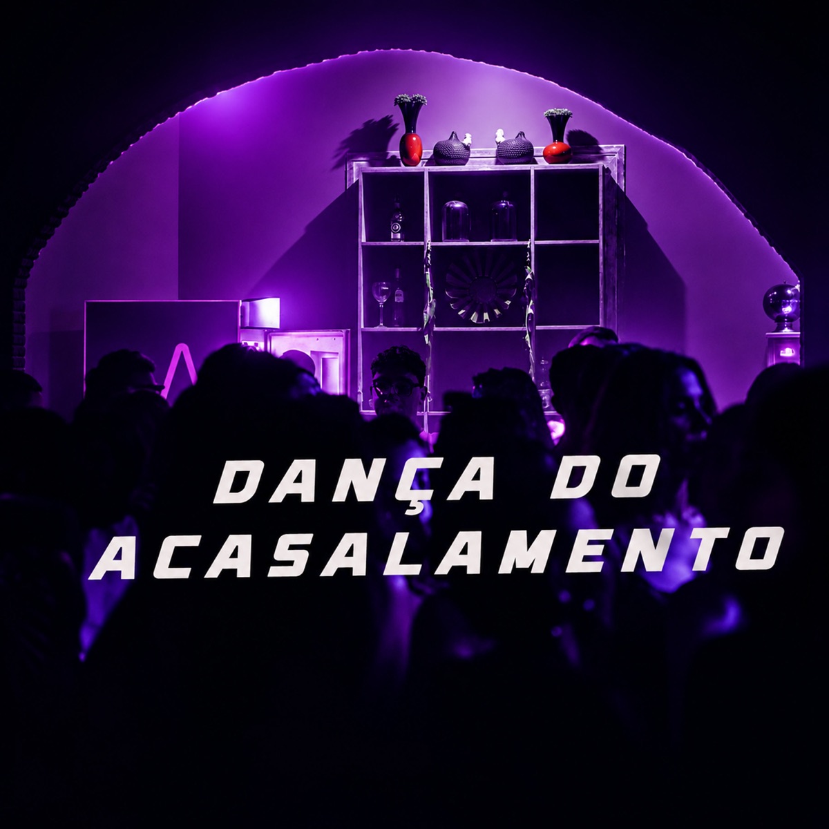 DANÇA DO ACASALAMENTO - Single by DJ Tonin, ARTHUR DE AFC, MC Nael & Mc Neguinho do ITR album cover