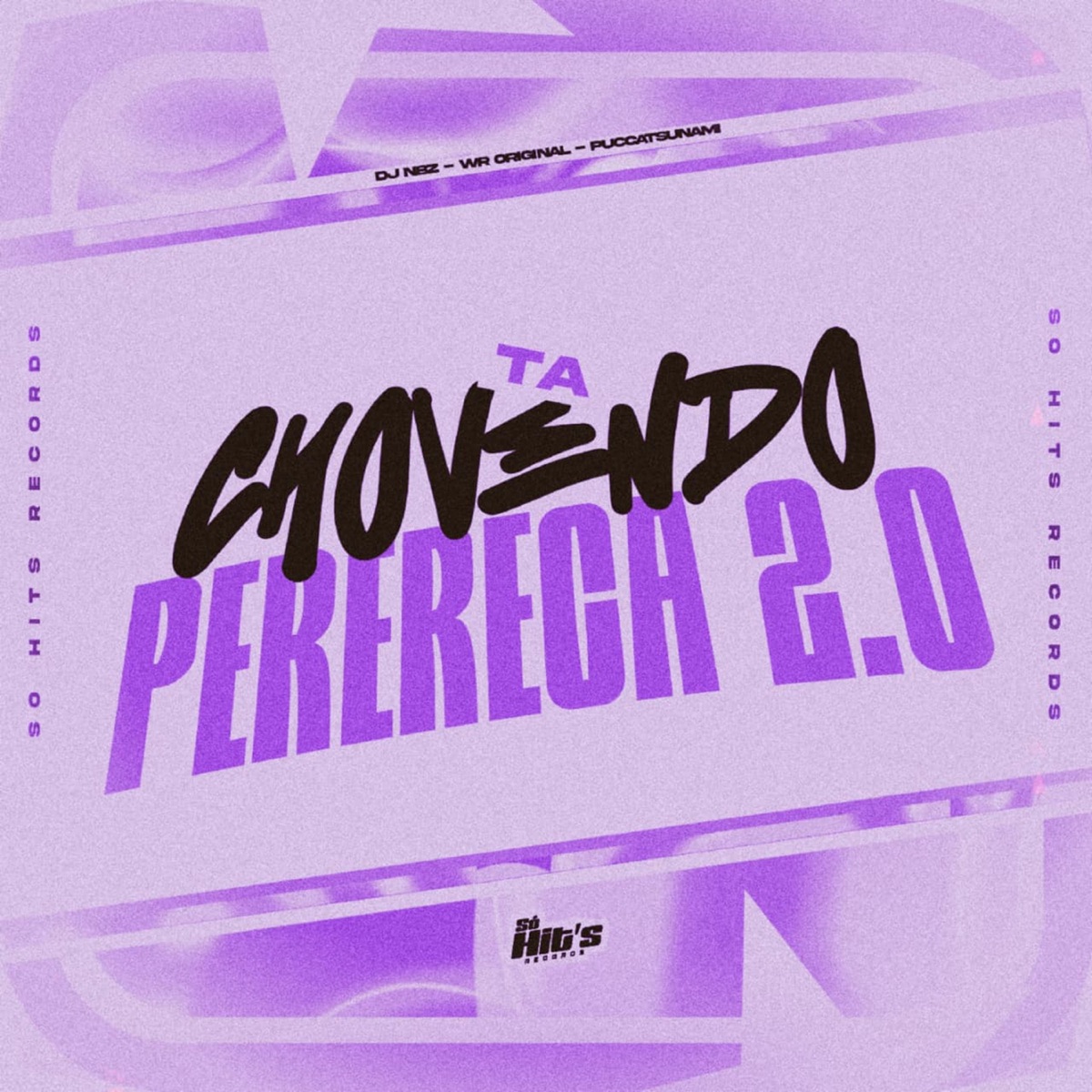 Ta Chovendo Perereca 2.0 (feat. WR ORIGINAL & Puccatsunami) - Single by DJ NBZ album cover