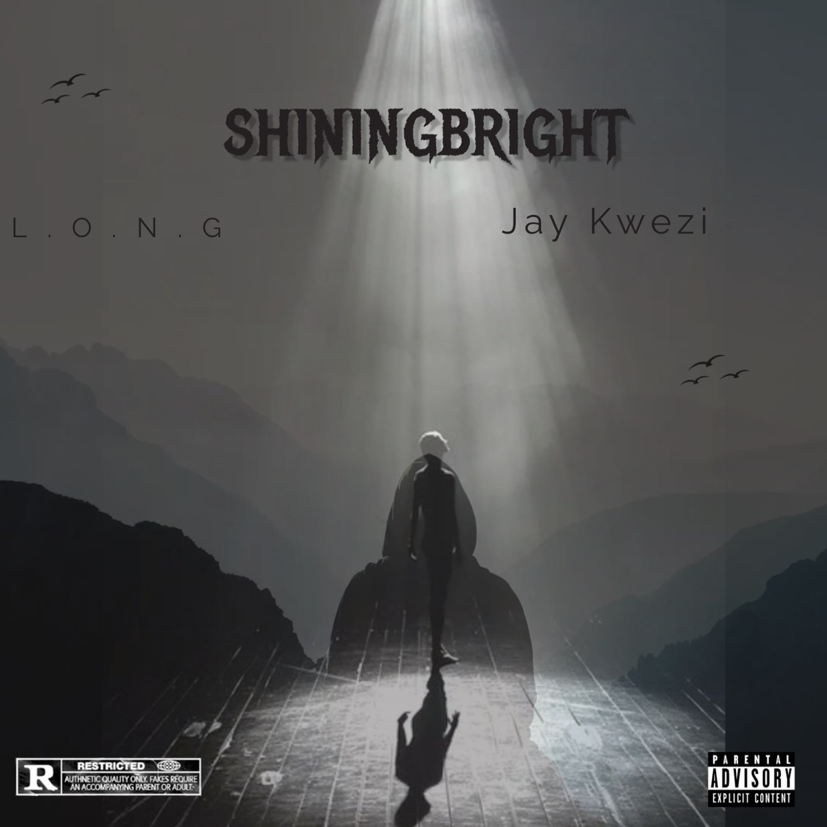 Shining Bright - Single by L.O.N.G & Jay Kwezi album cover