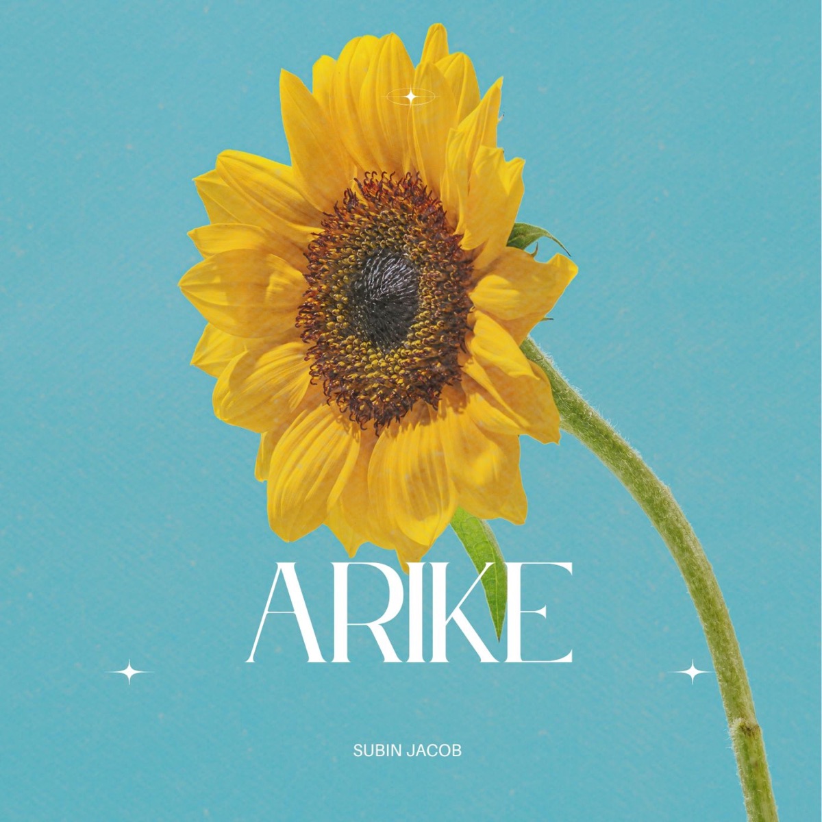 Arike (from 'Mama Prema Poovalli') - Single by Subin Jacob album cover