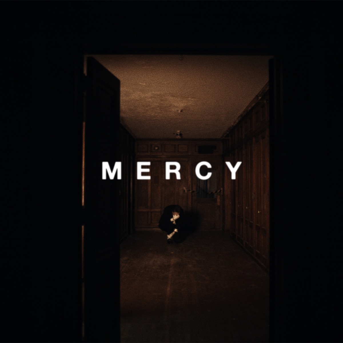 Mercy - Single by PRESIDENT album cover
