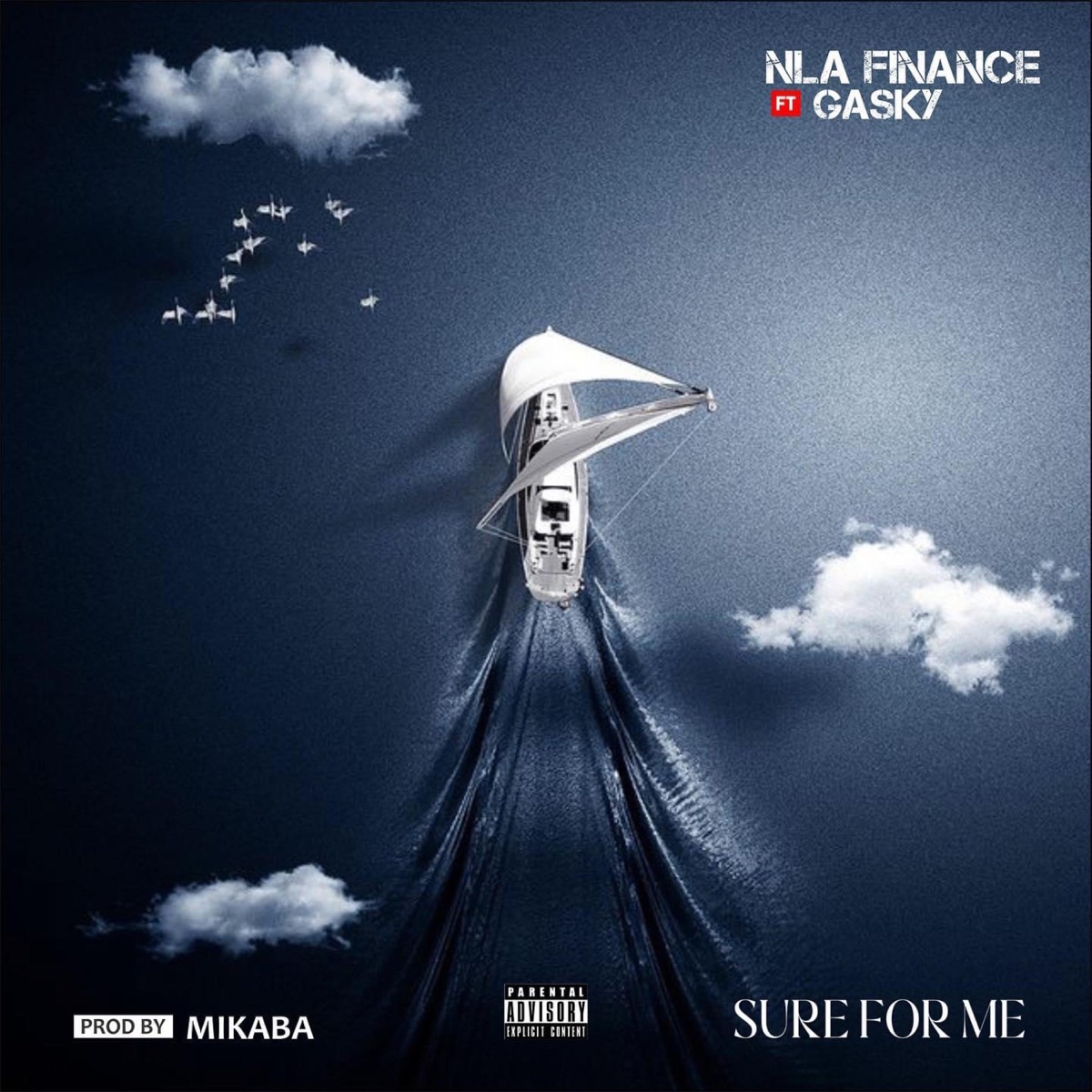 Sure For Me (feat. Gasky) - Single by NLA Finance album cover