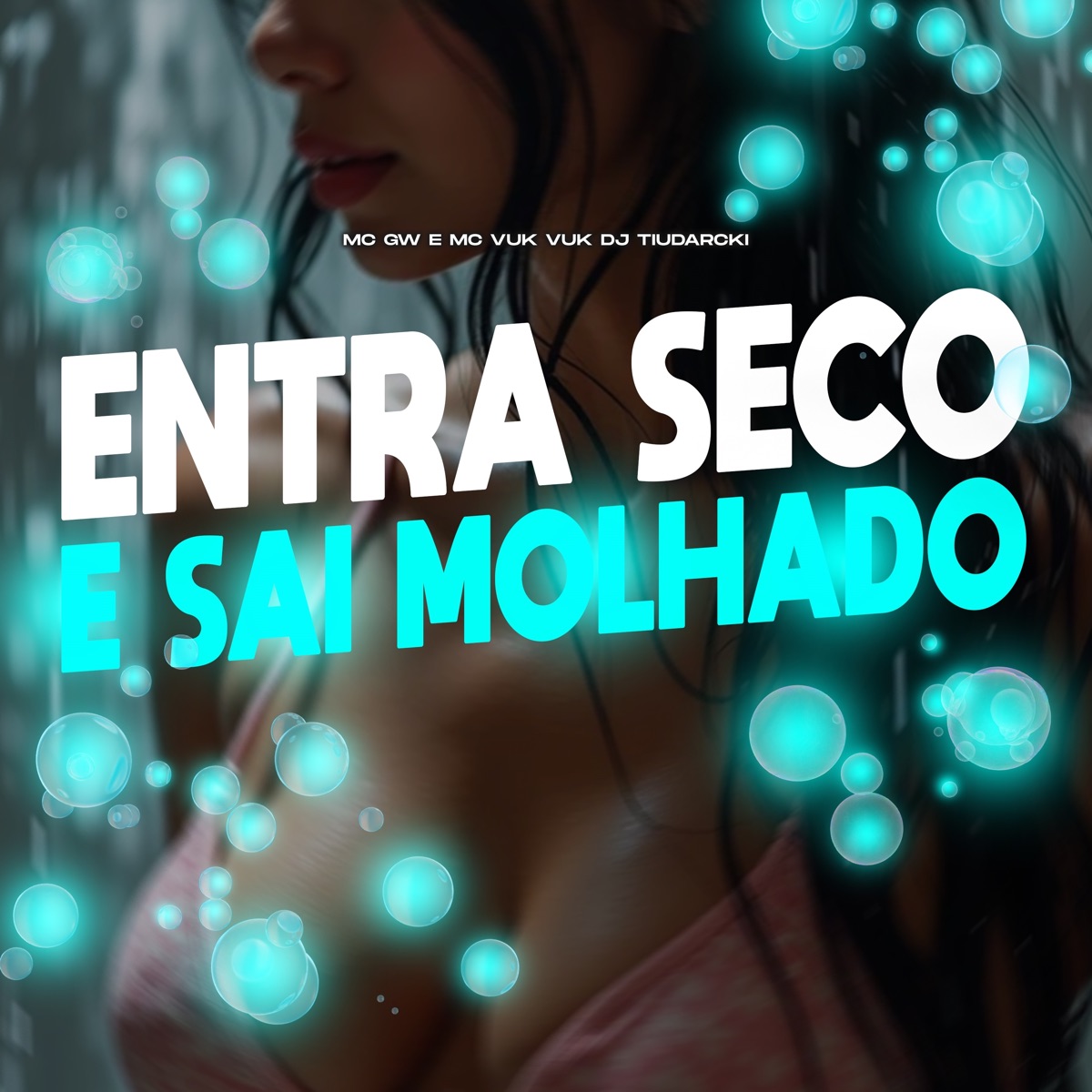 Entra Seco e Sai Molhado - Single by DJ TiuDarcki, MC Vuk Vuk & MC GW album cover