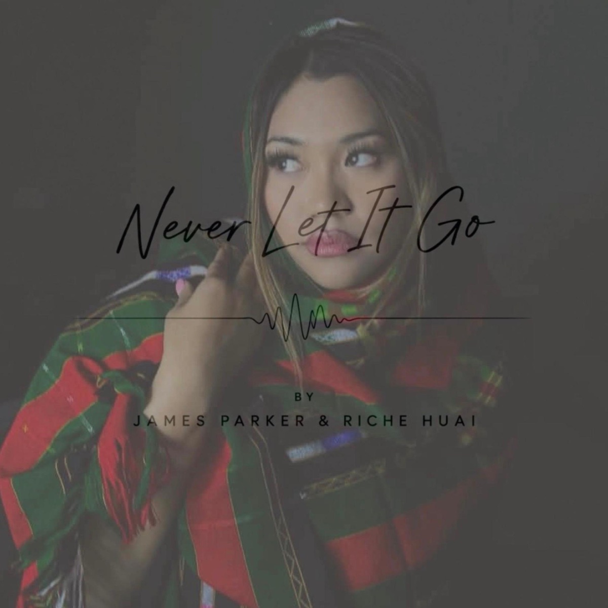 Never Let It Go (feat. James Parker Music) - Single by Riche Huai album cover